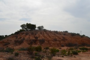 Visita Hondón de los Frailes