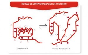 seminario OB