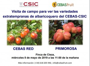 seminario cieza